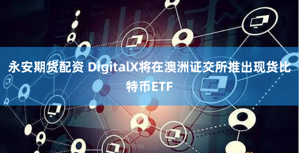 杠杆双刃剑：杭州股票配资市场全景透视与风险博弈